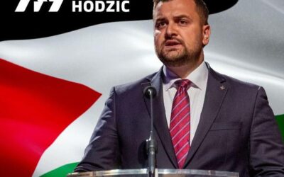 Armin Hodžić u Saboru glasao za priznanje Palestine